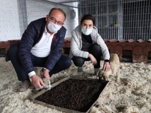 Başkan Akın’dan ‘Satın almayın, sahiplenin’ çağrısı
