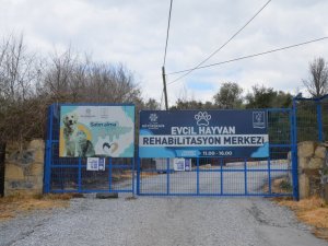 “Evcil Hayvan Rehabilitasyon Merkezi 10 gün içinde yeniden ziyarete açılacak