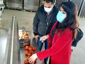 Söke’den 2021 yılının ilk üç ayında 15 bin ton zirai ürünün ihracatı yapıldı