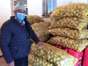 Hisarcık TKK’dan üreticiye sertifikalı patates tohumu