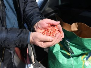 Büyükşehir’in kırsal kalkınma hamlesi ile başkentli çiftçilerin yüzü gülüyor