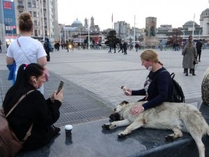 Taksim’de köpeğin turistlerle dondurma keyfi