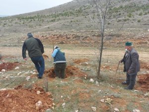 Altıntaş’ta ’’Bal ormanı’’ çalışmaları