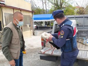 Yaralı Leyleğin yardımına Jandarma yetişti