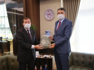 Hisarcık’ta üretilen adaçayını kooperatif pazarlayacak