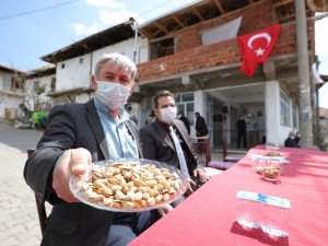 Bozuk ormanlık alanlar ‘yeşil altın’a dönüyor