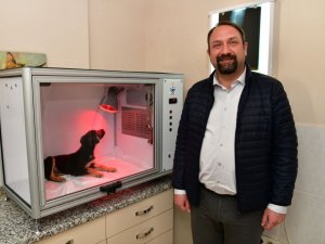 Çiğli Belediyesinden hayvan dostu proje: Yoğun Bakım Ünitesi