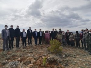 6 bin 150 adet fidan toprakla buluştu