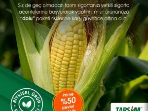 TARSİM: “Mısır ürününüz güvende”