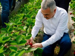 Milletvekili Savaş; "Aydınımız için katma değer üretmeye devam edeceğiz"