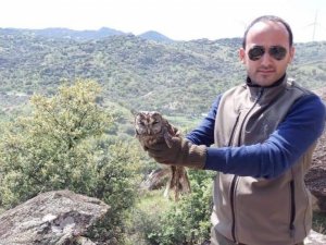 Yaralı halde devlete sığınan baykuş tedavisinin ardından doğaya salındı