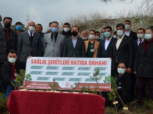 Sağlık çalışanları anısına 300 fidan dikildi