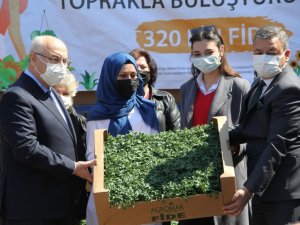 İzmir’de 320 bin yerli ve milli fide 15 bin kadınla buluşturuldu
