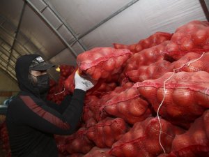 TMO, çiftçinin elinde kalan patates ve kuru soğanı maliyet fiyatına satın almaya başladı