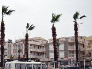 Aydın’da yarın kuvvetli rüzgar etkili olacak