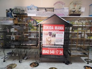 Sokak hayvanları için esnaftan askıda mama projesi