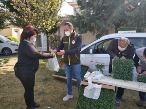 Çeşmeli kadınlara ücretsiz fide