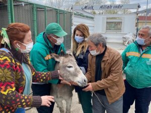 1 yıldır Çankaya’da misafir olan ’Pekmez’ artık Çankırı’da yaşayacak