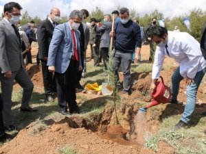Hükümlüler, diktiği fidanları sağlık çalışanlarına adadı