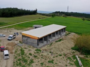 Zeytin üreticisi ve alıcısına büyük kolaylık