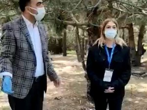 Sarıyer’de hayvanseverlerden belediye ve İBB’ye sokak hayvanı tepkisi