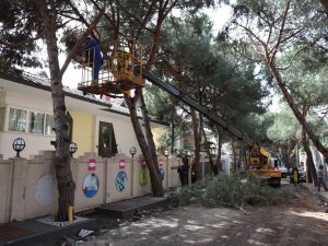 Kartal Belediyesi Park ve Bahçeler Müdürlüğü’nden yaz seferberliği