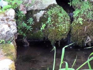 Antik dönemin havuz suyu 2 bin 200 yıldır akıyor