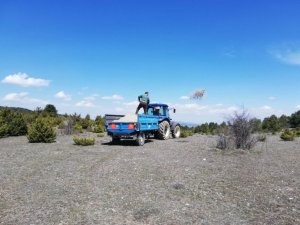 Dumlupınar’da meralar gübrelendi