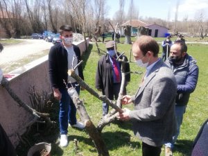Dumlupınar’da fidan dikimi ve aşılama çalışmaları