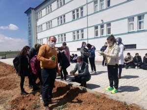 Afyonkarahisar’da liseli öğrenciler okul bahçesine kekik fidanı dikti
