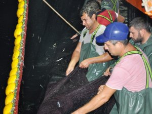 Milas İlçe Tarım Müdürü Parlu; "Su ürünleri avcılık yasakları başladı"