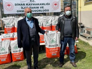 Çiftçilere yüzde 75 hibe ile ayçiçeği tohumu dağıtıldı