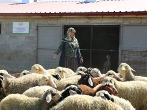 Köyde yaşamak isteyenlere proje desteği