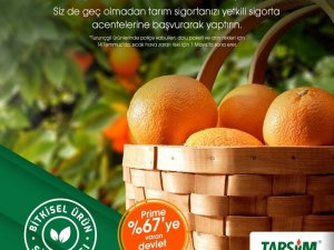TARSİM: “Turunçgilleriniz güvende”