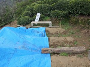 Korona virüsten 8 yakının kaybeden Rizeli Genç’ten yetkililere “Bizi araştırın, aşı için öncelik verin” çağrısı