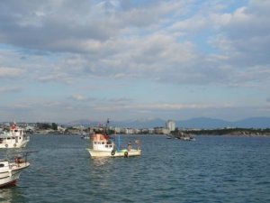Didim’de deniz patlıcanı avcılığı sona erdi
