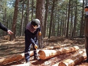 Kütahya Orman Bölge Müdürlüğünde ’barkod’ uygulaması