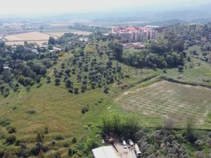 ADÜ Ziraat Fakültesi’nden ‘Aydın Çam Fıstığı’ coğrafi işaretlerine katkı