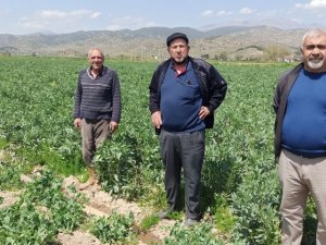 Üreticiler pazar yasaklarına esneklik istiyor