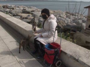 Pendik’te kısıtlama günü sokak hayvanlarını unutmadı, tek tek besledi