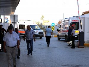 Arı sokmasına bağlı ciddi alerjik reaksiyonlar ölüme sebep olabilir