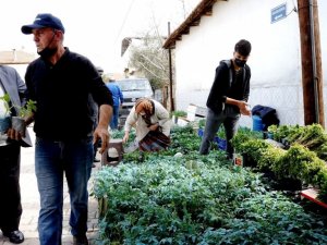 Sarıgöl’de sebze fide satışlarına büyük ilgi