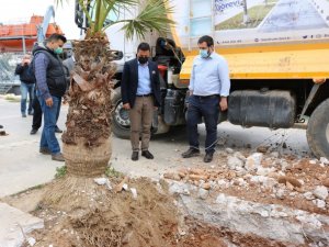 Bodrum akıllı atık yönetim sistemi adım adım hayata geçiyor