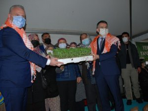 Bakan Pakdemirli’den üreticilere fidan ve tohum dağıtımı