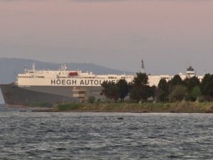Tuzla’da karaya oturan gemi kurtarılmayı bekliyor