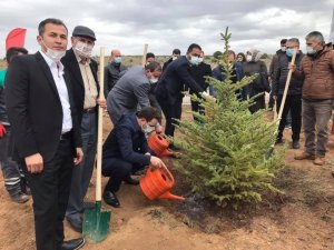 Altıntaş’ta hatıra ormanı