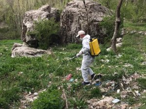 Hakkari’de ilaçlama çalışması