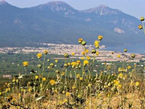 Tülüşah deneme parselinde değerlendirme toplantısı yapıldı