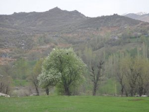 Şırnak’ta 1 köy karantinaya alındı