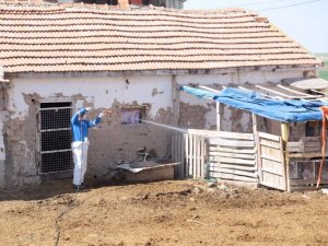 Aksaray’da kara sinek ve haşerelere karşı mücadele başlatıldı